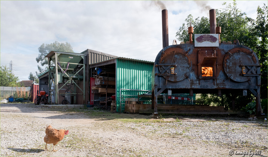 The Great Welsh Charcoal Company - North Wales